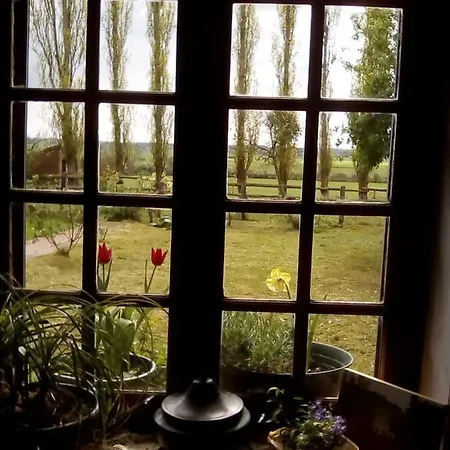 La Ferme Des Vignes Couette-café Hotot-en-Auge