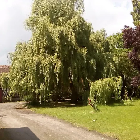 La Ferme Des Vignes לינה וארוחת בוקר Hotot-en-Auge