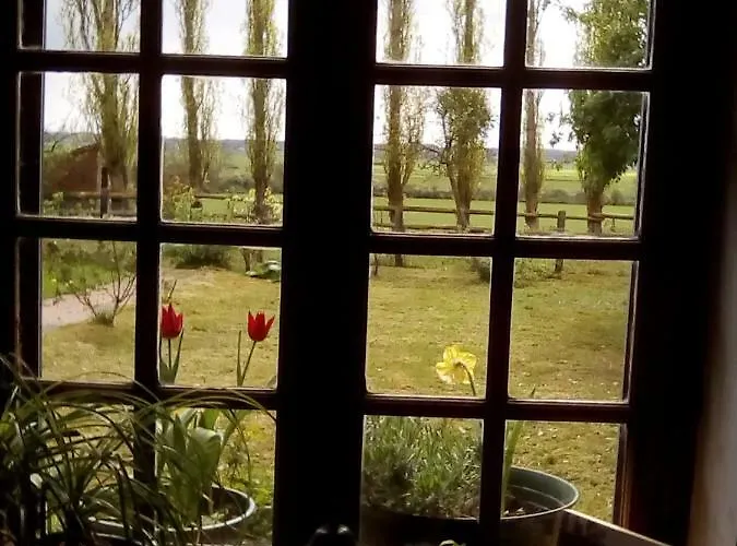 La Ferme Des Vignes Oda ve Kahvaltı Hotot-en-Auge