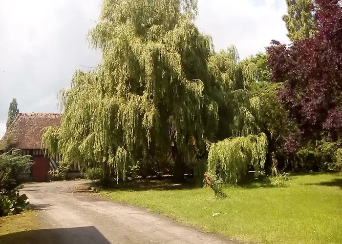La Ferme Des Vignes Bed & Breakfast Hotot-en-Auge